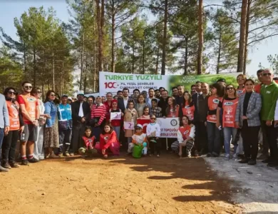 gaziantep ağaç dikimi